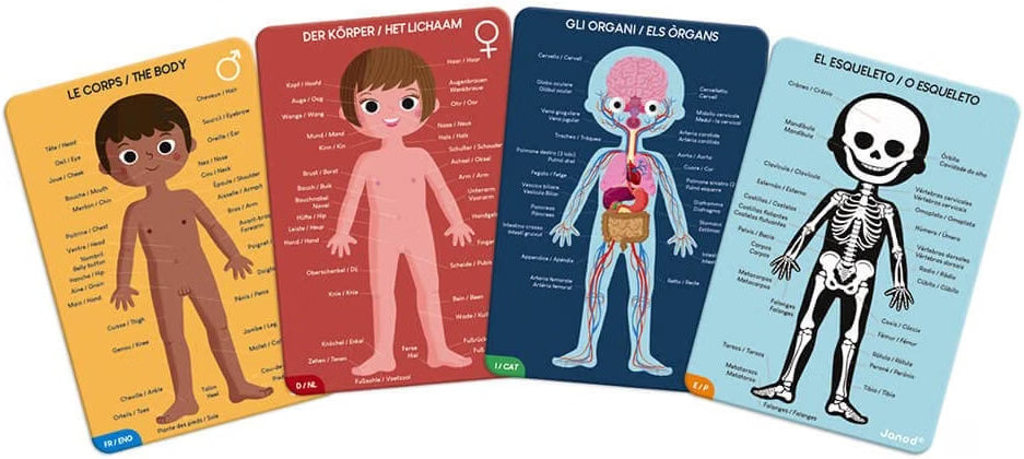 Puzzle educativo Cuerpo Humano – Janod