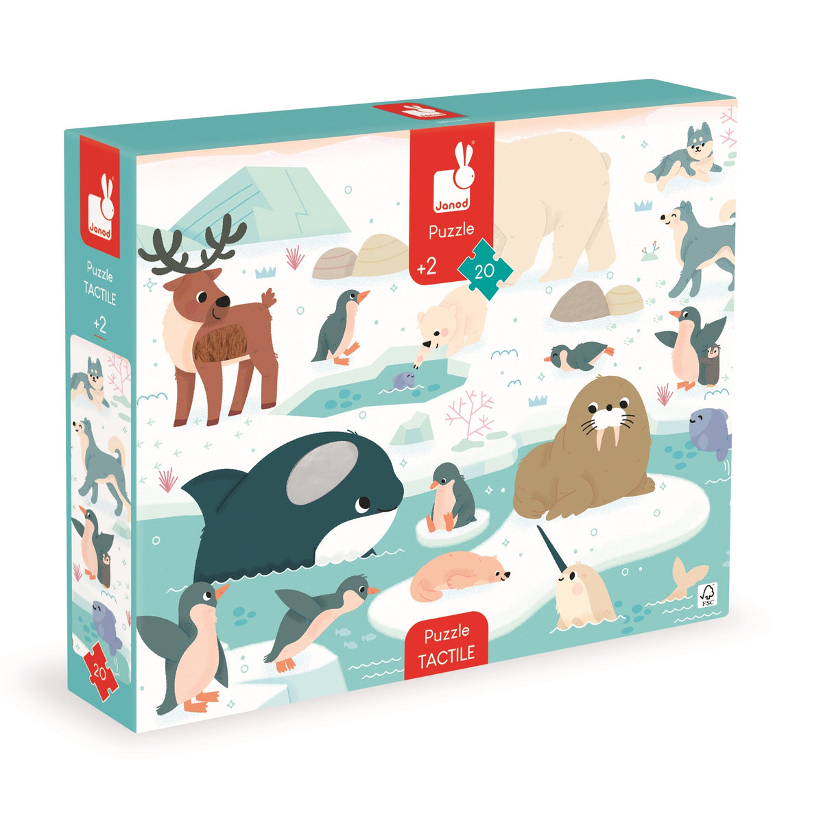 Puzzle táctil de los polos polares – Janod