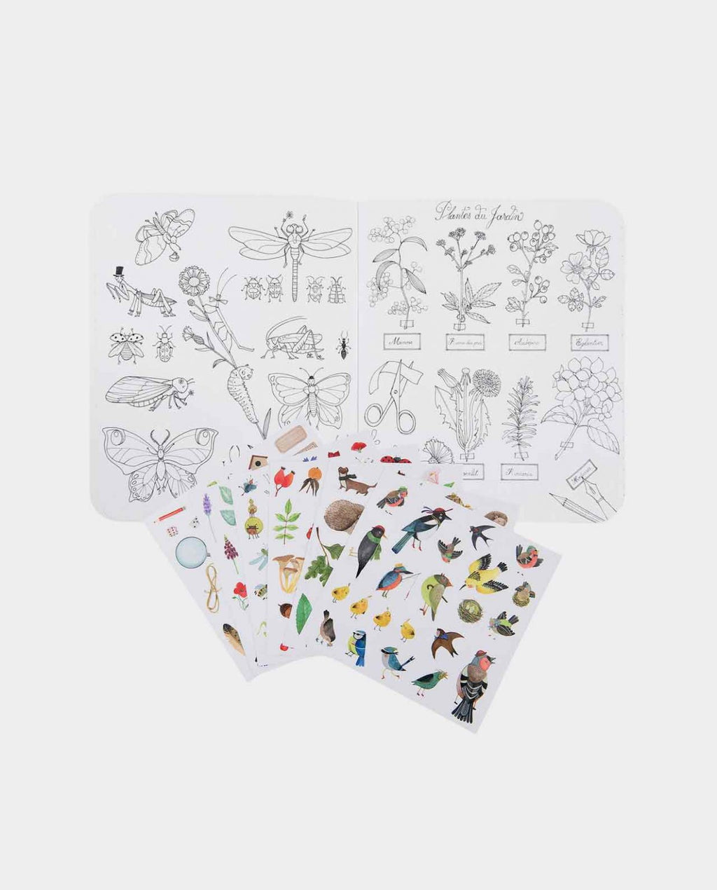Cuaderno de pegatinas El Botanista, 20 páginas – Moulin Roty