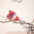 Caperucita Roja · Set de regalo